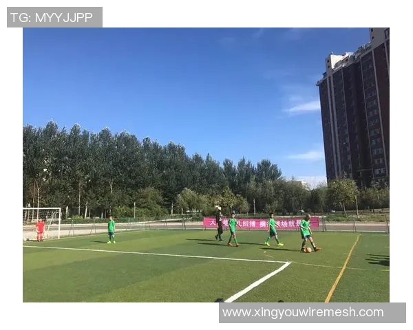 足球球星迪哥奋勇拼搏成就绿茵传奇引领新时代热潮